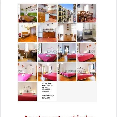 بيت ضيافة Kasa Katia